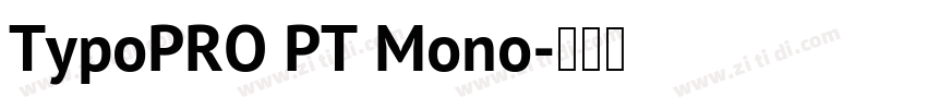 TypoPRO PT Mono字体转换